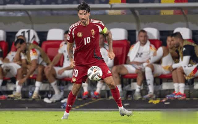 踢丢点球太心塞,匈牙利遗憾失分 踢丢点球太心塞,匈牙利遗憾失分