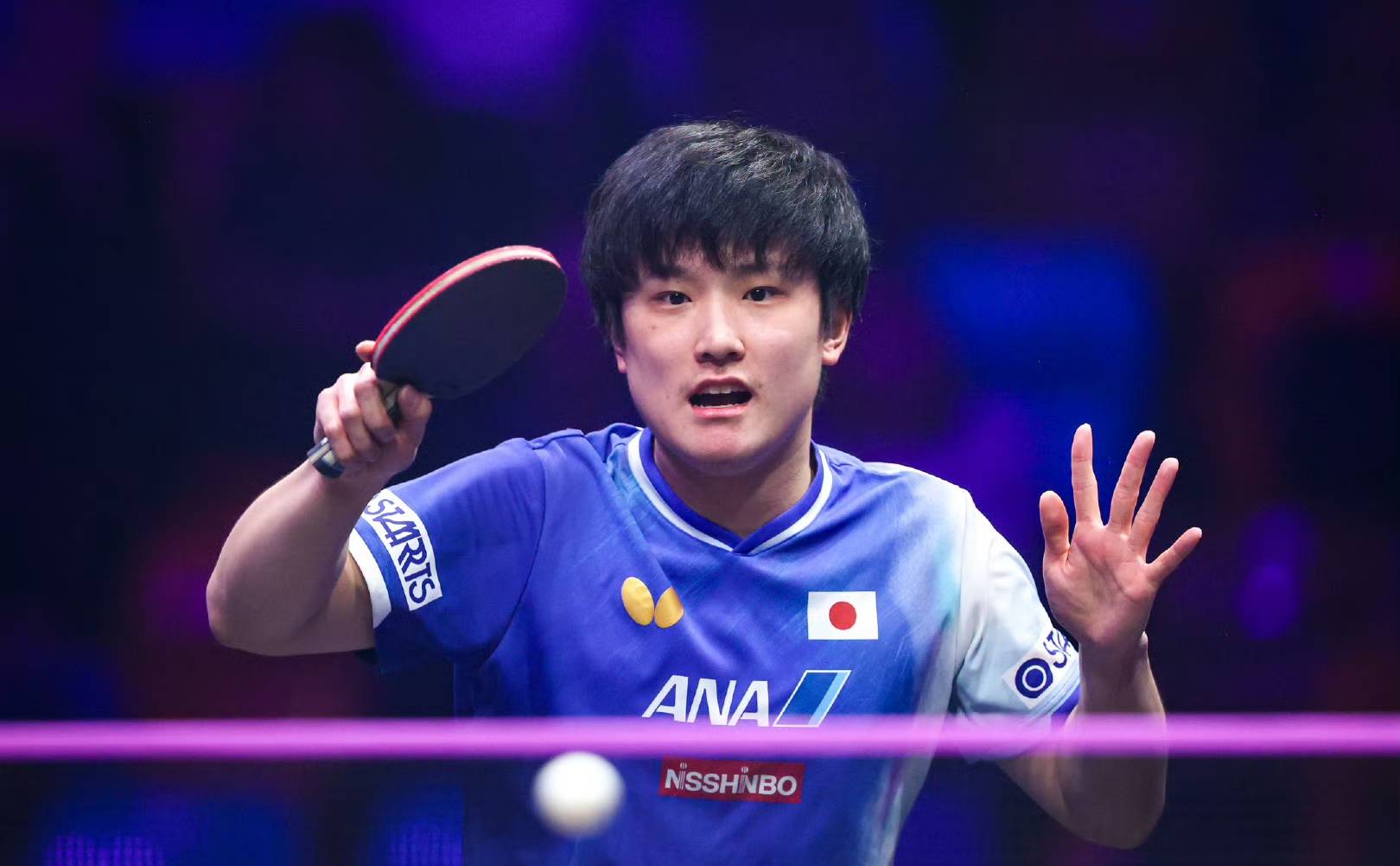 世俱杯冠军-包含波兰队完胜德国队,张本智和点燃赛场的词条